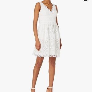 Adrianna Papell Women's Illusion Neckline Lace Dress size 16